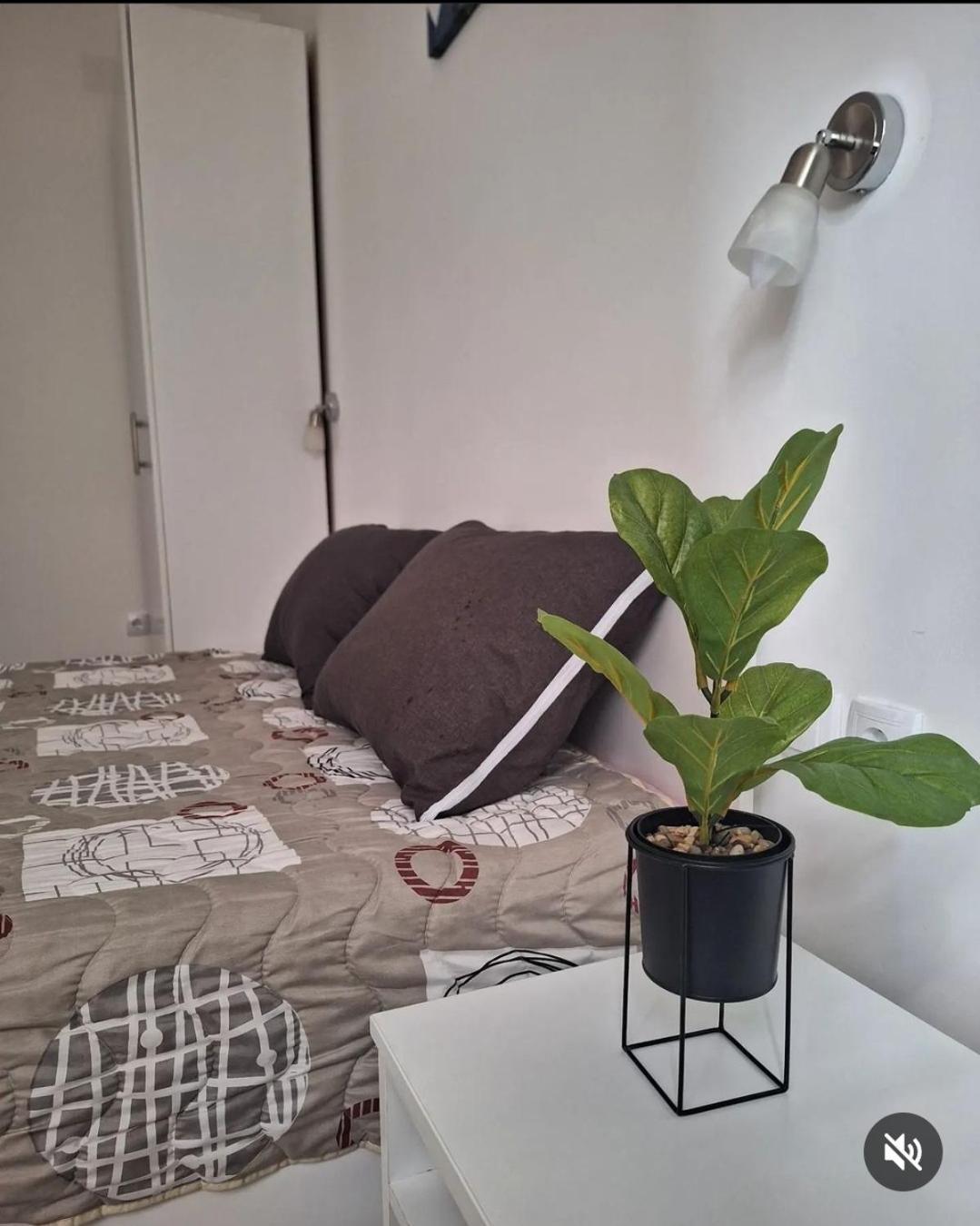 Apartmani Koki Kladovo Dış mekan fotoğraf