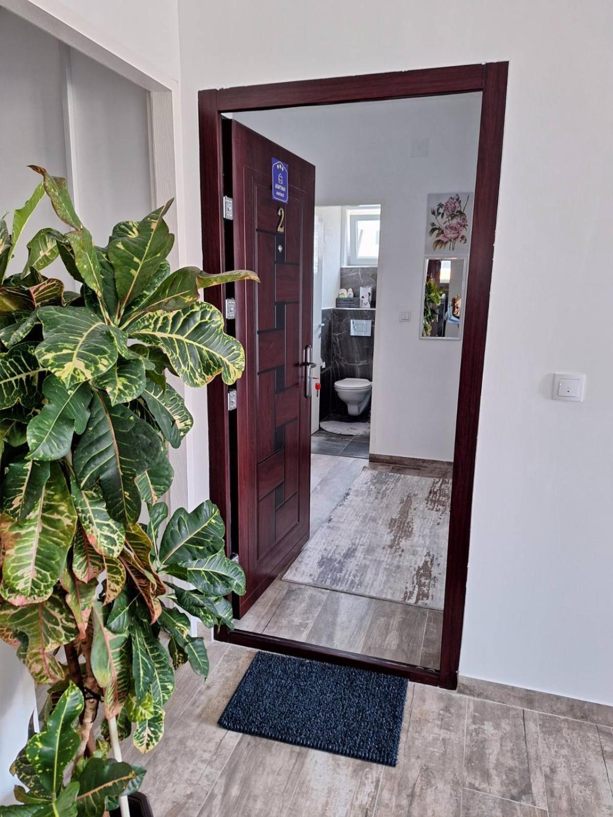 Apartmani Koki Kladovo Dış mekan fotoğraf