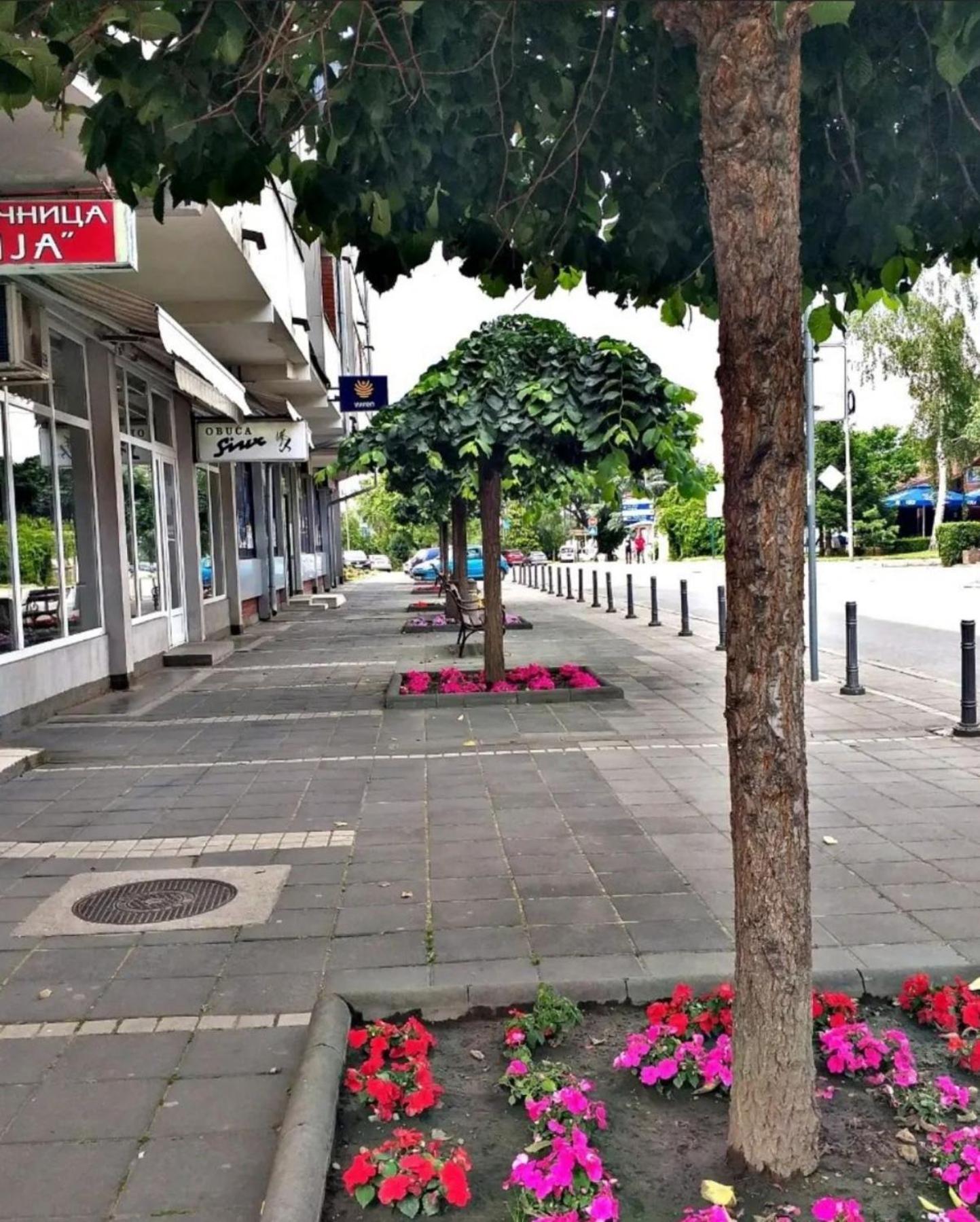 Apartmani Koki Kladovo Dış mekan fotoğraf